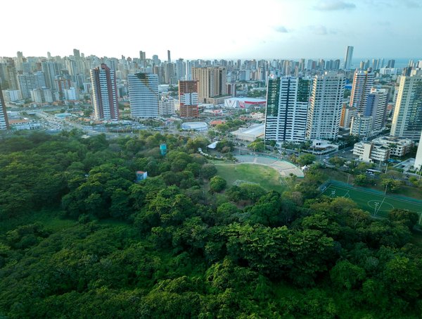 L'efficacité des jobboards dans la recherche d'emploi : Mythes et réalités